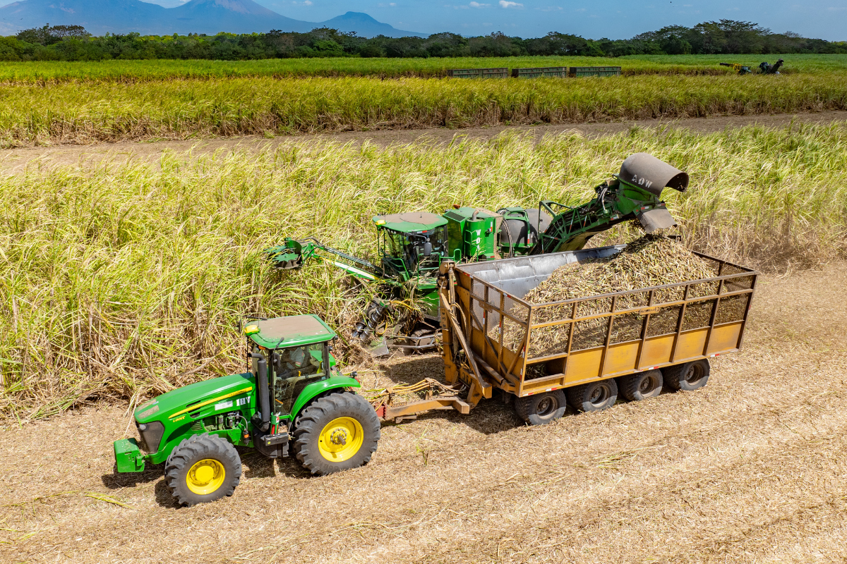 Ingenio San Antonio recibe premio SmartFarm 2026